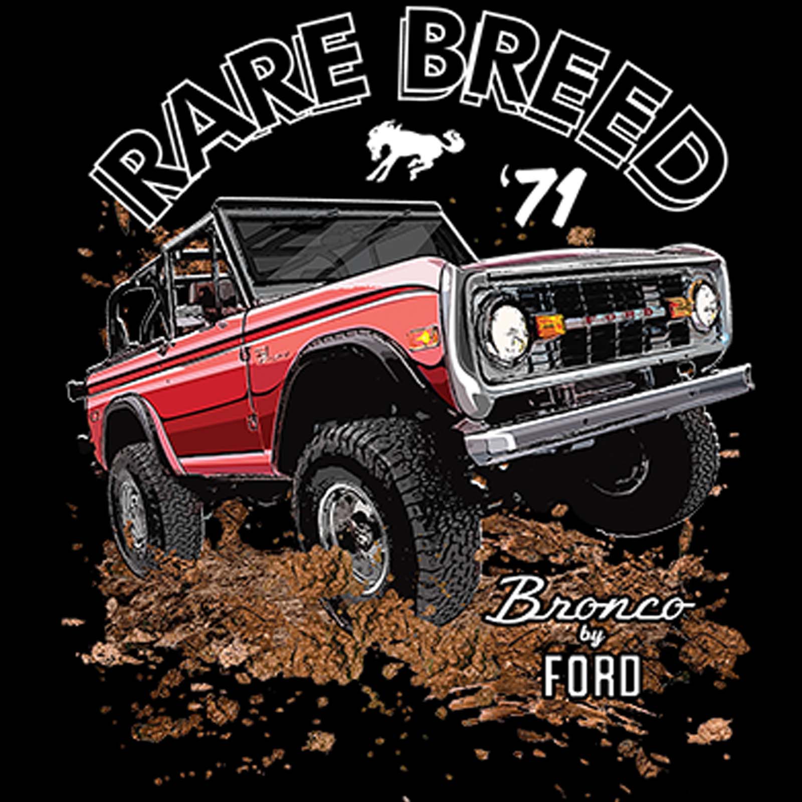 Ford Bronco Big Bronco Unisex Sweatshirt Bronco Babe Sweatshirt Ford Bronco Sport